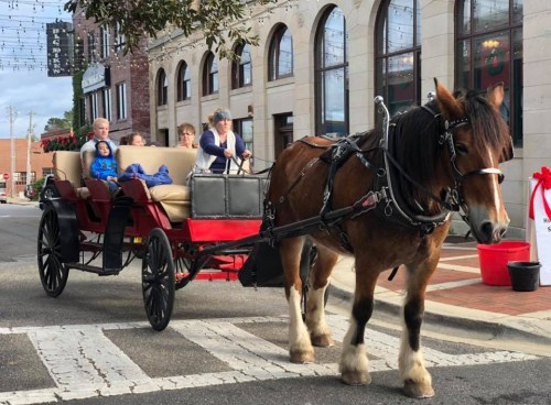 A horse-drawn carriage with passengers crosses a street in a festive town setting.