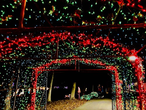 A pathway adorned with colorful red and green holiday lights, creating a festive tunnel effect at night.