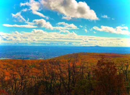 A scenic view of colorful autumn foliage on a mountain, with a bright blue sky and fluffy clouds above.