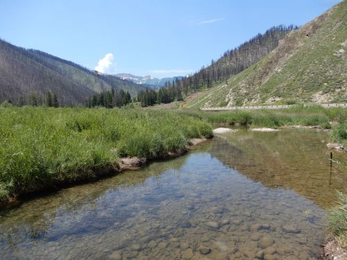 A serene landscape featuring a clear stream surrounded by green grass and mountains, with signs of past wildfires in the background.