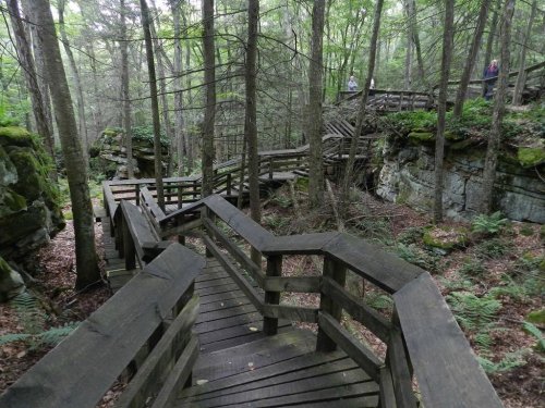 A winding wooden boardwalk through a lush green forest with rocky outcrops and trees surrounding the path.