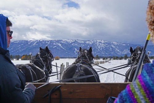 A snowy landscape with mountains in the background, featuring a horse-drawn carriage and a person in a hoodie.