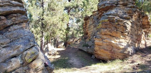 A narrow path winds between large, rugged rock formations surrounded by tall pine trees in a forested area.