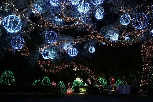 A beautifully lit garden at night, featuring blue and white spherical lights hanging from trees and festive decorations.