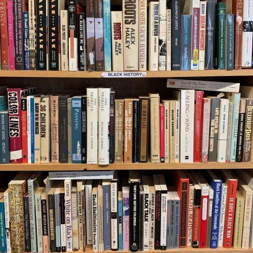 A bookshelf filled with various books, labeled "Black History," showcasing a diverse collection of titles.