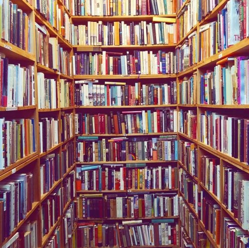 A cozy library with tall wooden shelves filled with a diverse collection of books.