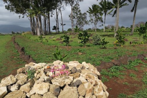 A stone arrangement with flowers in a grassy area, surrounded by trees and plants under a cloudy sky.