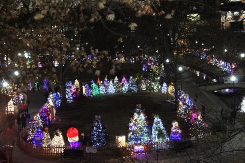 A park illuminated with colorful Christmas trees and lights, creating a festive holiday atmosphere at night.