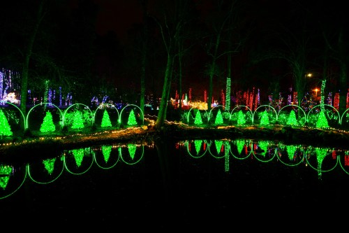 Colorful holiday lights illuminate trees and bushes, reflecting beautifully in a calm pond at night.