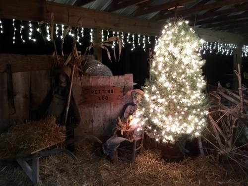A rustic barn scene with a lit Christmas tree, hay, and a sign for a petting zoo, decorated with string lights.