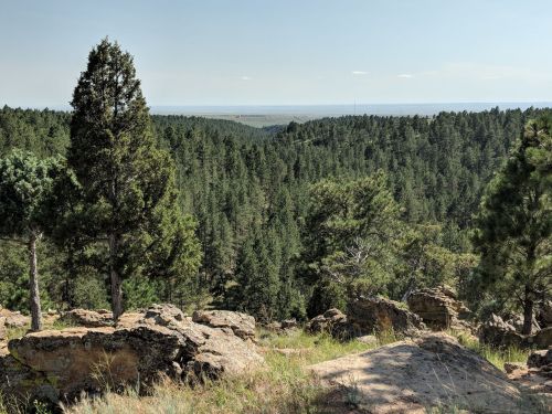 A panoramic view of a lush green forest with rocky outcrops and distant hills under a clear blue sky.