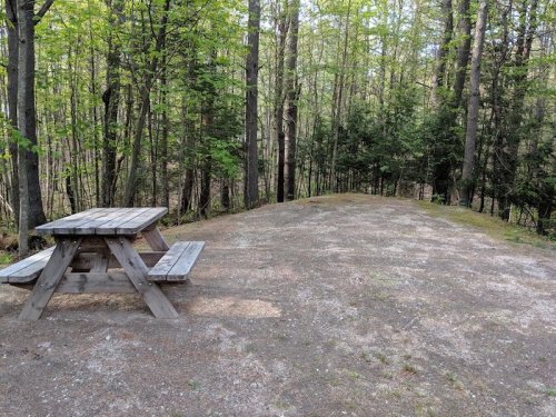 A wooden picnic table sits on a gravel area surrounded by trees in a peaceful forest setting.