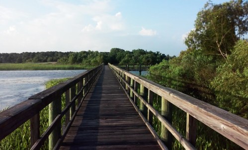 A wooden boardwalk stretches into a lush green landscape, flanked by water and trees under a blue sky.
