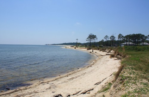 A serene beach scene with sandy shores, gentle waves, and distant trees under a clear blue sky.
