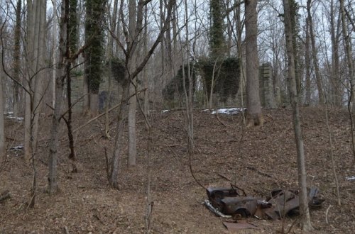 A wooded area with bare trees, showing ruins in the background and a rusted car in the foreground on the forest floor.
