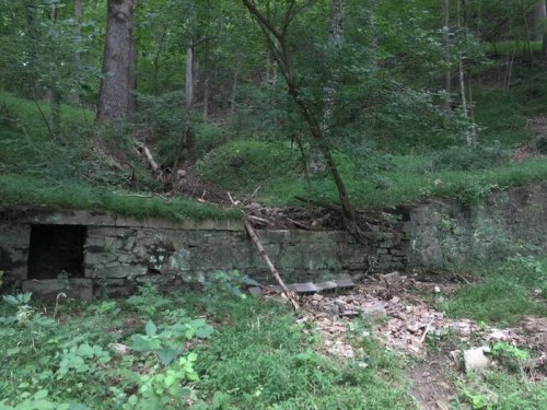 A stone wall partially covered in greenery, with fallen branches and debris, set in a wooded area.