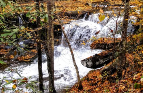 A serene waterfall surrounded by autumn leaves and trees, creating a peaceful natural scene.