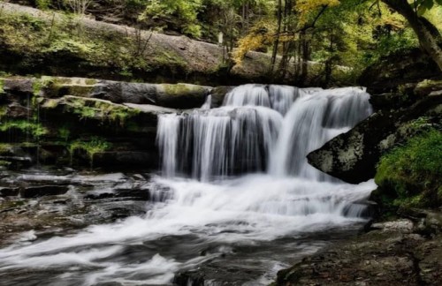 A serene waterfall cascades over rocks, surrounded by lush greenery and autumn foliage.