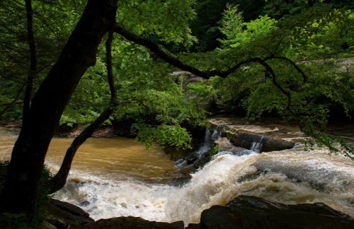 A serene river flows over rocks, surrounded by lush green trees and a tranquil natural setting.