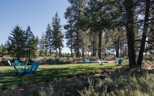 A serene outdoor space with turquoise chairs on green grass, surrounded by tall pine trees and shrubs.
