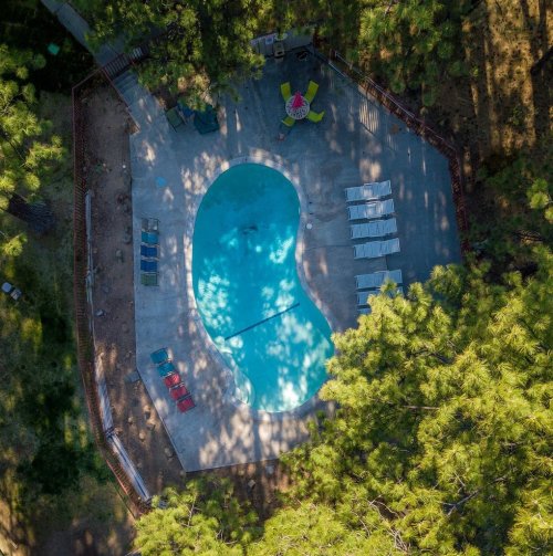 Aerial view of a kidney-shaped pool surrounded by lounge chairs and trees in a serene outdoor setting.