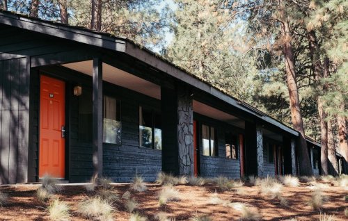 A black cabin with an orange door, surrounded by pine trees and grass, under a clear blue sky.