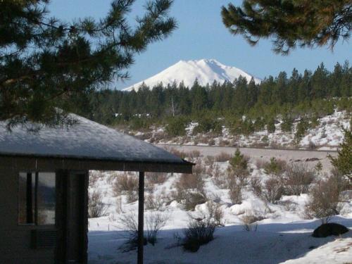 A snow-covered landscape with a mountain in the background, framed by trees and a cabin in the foreground.