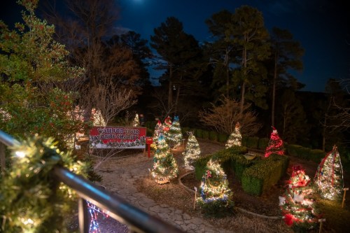A festive outdoor scene with decorated Christmas trees and lights, set against a dark night sky.