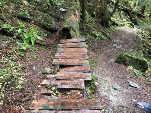 A rustic wooden bridge made of planks spans a forested path, surrounded by lush greenery and moss-covered rocks.