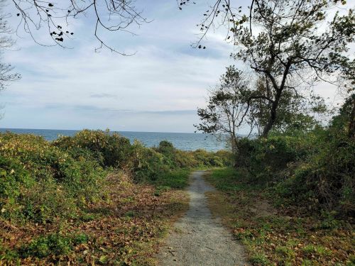 A sandy path leads through greenery to the ocean, under a cloudy sky with scattered trees.