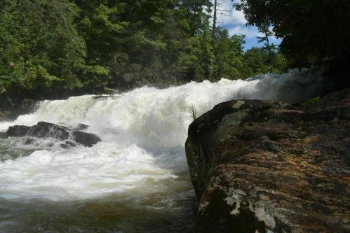 A cascading waterfall flows over rocks, surrounded by lush green trees and a bright blue sky.