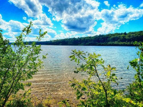 A serene lake surrounded by lush greenery under a bright blue sky with fluffy clouds.
