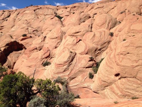 A rugged landscape of reddish rock formations with scattered greenery under a blue sky.