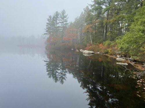 A misty lake scene with trees reflecting on the calm water, showcasing autumn colors and a serene atmosphere.