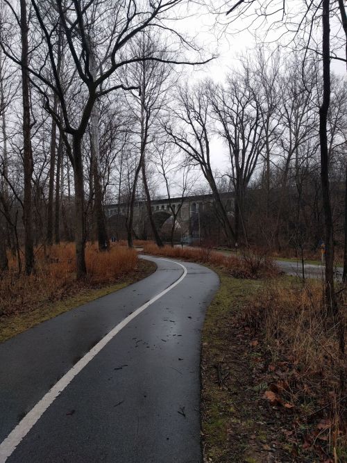 A winding path through a bare, wooded area with a bridge in the background on a cloudy day.