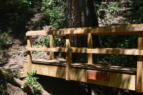 A wooden bridge in a forested area, surrounded by trees and greenery.