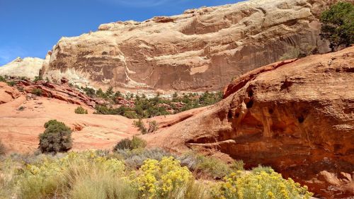 A scenic view of red rock formations and green shrubs under a clear blue sky.