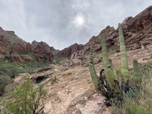 A rocky landscape with towering cliffs, a cactus in the foreground, and a cloudy sky with the sun peeking through.
