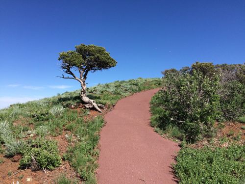 A winding red path leads up a grassy hill, with a lone tree on the left against a clear blue sky.