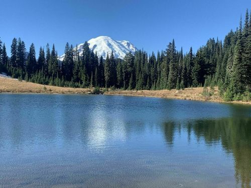 A serene lake reflects a snow-capped mountain surrounded by lush evergreen trees under a clear blue sky.