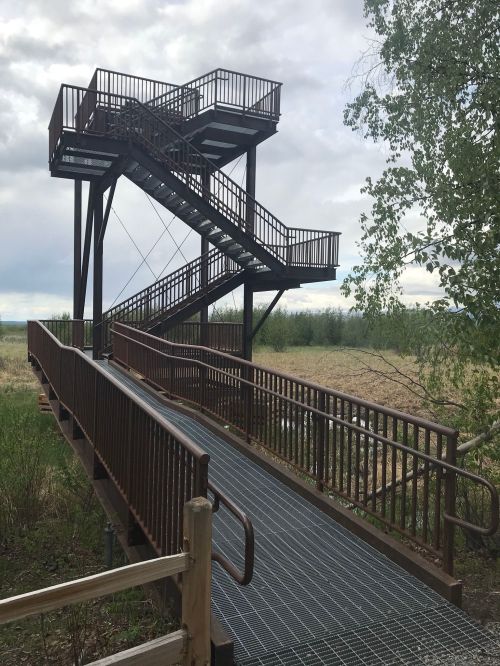 A metal observation tower with stairs, surrounded by greenery and a pathway leading to it. Cloudy sky above.