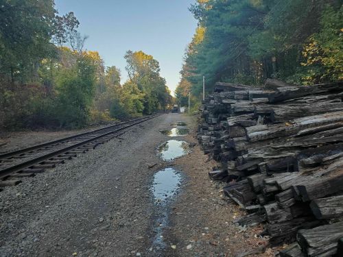 A quiet railway track lined with trees, featuring a stack of wooden logs and puddles on the gravel path.