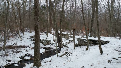 A snowy forest scene with bare trees, a small stream, and a stone bridge partially covered in snow.