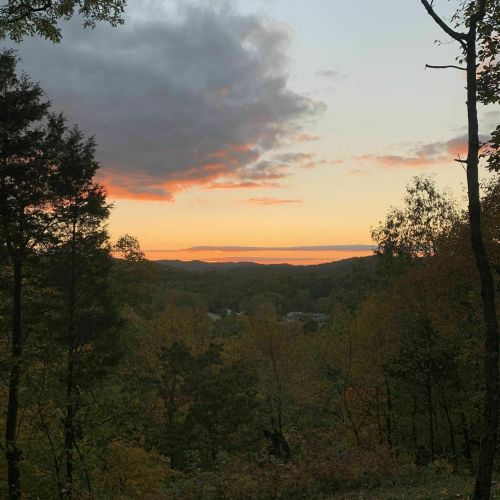 A serene sunset over a forested landscape, with vibrant orange and pink hues in the sky and trees in the foreground.