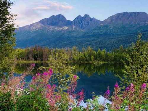 Scenic view of a tranquil lake surrounded by vibrant flowers and mountains under a clear sky.