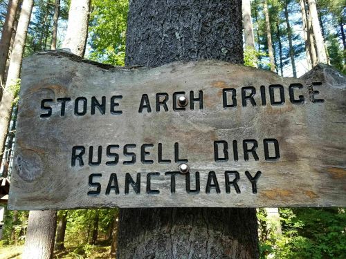 Wooden sign on a tree reading "Stone Arch Bridge" and "Russell Bird Sanctuary" in a forested area.