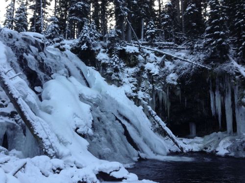 A frozen waterfall surrounded by snow-covered trees and icy rock formations in a winter landscape.