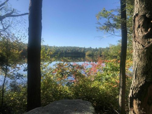 A serene lake surrounded by colorful autumn foliage and trees under a clear blue sky.