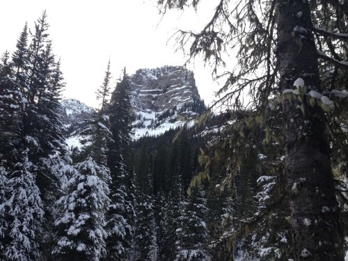 Snow-covered trees frame a rocky mountain peak in a winter landscape, with a cloudy sky above.