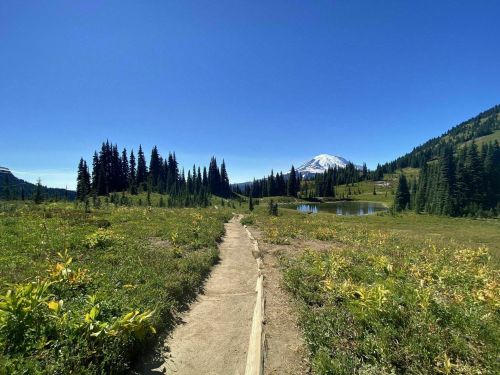 A scenic trail leads through lush greenery, with a mountain and clear blue sky in the background.